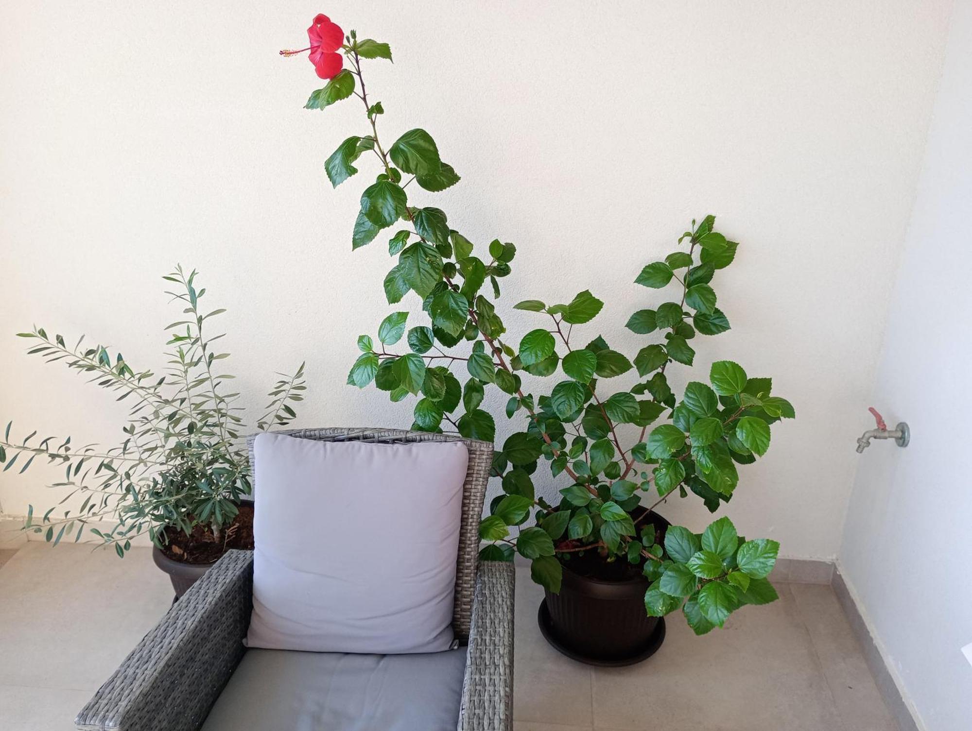 Nature Apartamento *